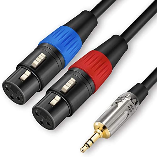 3.5 mm TRS to Dual XLR Male Pro Stereo Breakout Cable 1/8