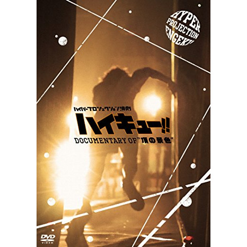 하이퍼 projection 연극「하이 큐!!」 Documentary of u201C꼭대기의 경치&#34; [DVD]
