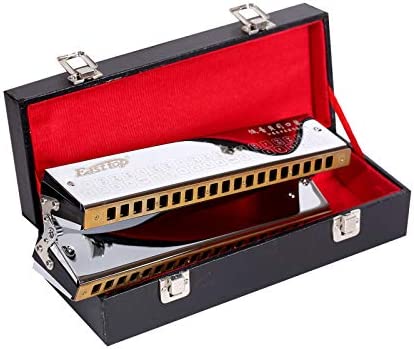 East top Bass Harmonica Professional Orchestral Harmonica T1-1, Professional Mouth Organ Harmonica for Adult, Professional Band Player and Harmonica Lover