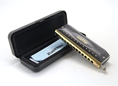 East top Forerunner Chromatic Harmonica 12-Hole 48 Tones C Key Chromatic Mouth Organ Harmonica for Adults, Chromatic Harmonica Key of C for professionals and Students
