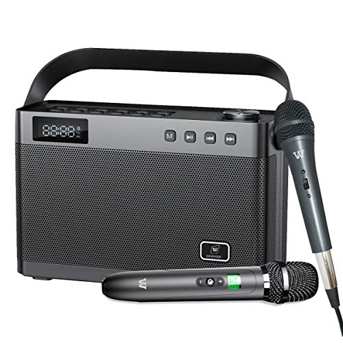W WINBRIDGE Karaoke Machine for Adults & Kids with Wireless Microphone, Sing Machine Karaoke, Portable Bluetooth Pa Speaker for Home, TV, Party, Built in Soundcard Remote Control with Guitar Input T9