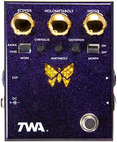 TWA Dynamorph Envelope-Controlled Harmonic Generator Guitar Effects Pedal (DM-02)